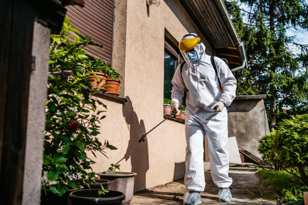 Best Wasp Removal Services  in Carthage, MS