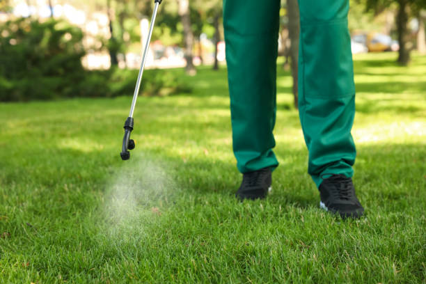 Best Pest Control for Businesses  in Carthage, MS