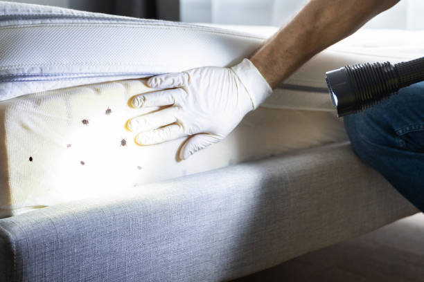Best Residential Pest Control  in Carthage, MS