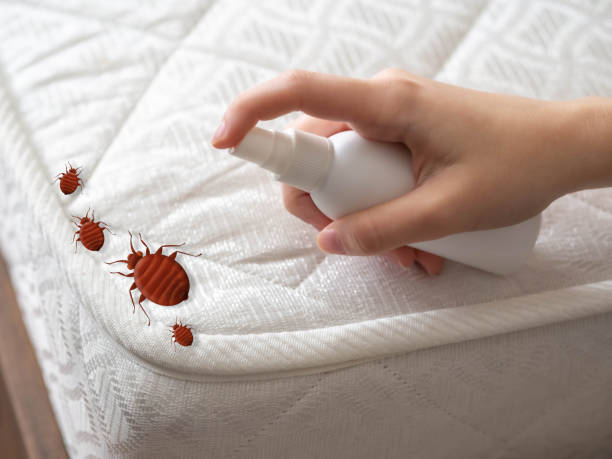 Best Cockroach Control Services  in Carthage, MS