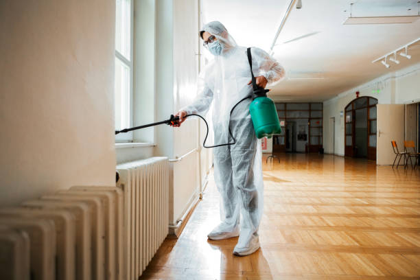 Best Rat Extermination Near Me  in Carthage, MS